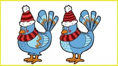 Pouze 30 % lidí dokáže najít všech 5 rozdílů za 10 sekund