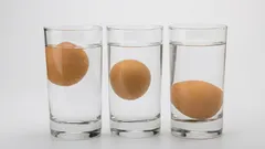 Nejezte zkažená vejce: tento test vám za 10 sekund ukáže, zda jsou čerstvá