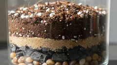 Zamioculcas má rád chudou, lehkou a kyprou půdu – připravíme si ji sami